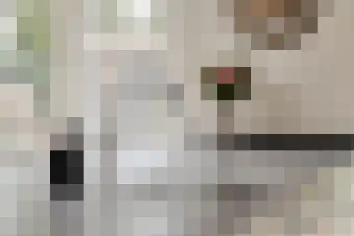 Sabelmarter 1 Veldhoven thumbnail 11