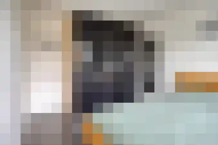 Sabelmarter 1 Veldhoven thumbnail 18