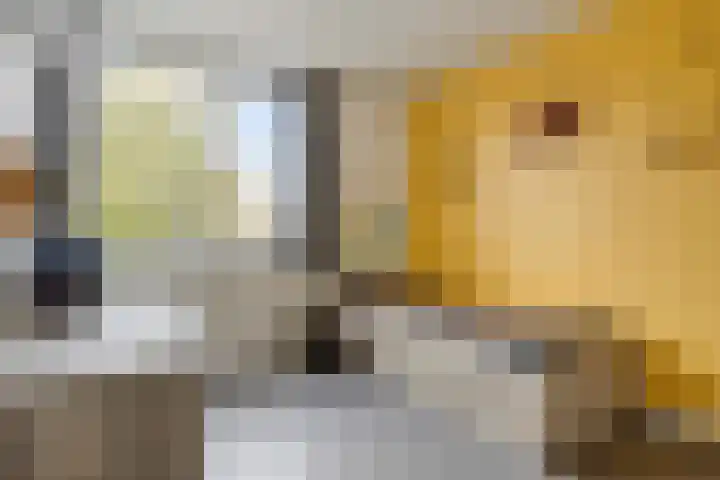 Sabelmarter 1 Veldhoven thumbnail 20