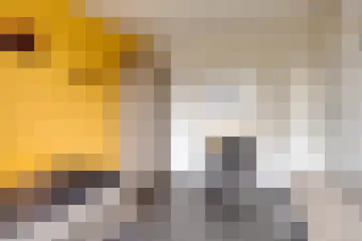 Sabelmarter 1 Veldhoven thumbnail 21