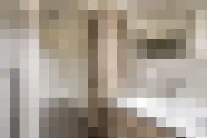Sabelmarter 1 Veldhoven thumbnail 23