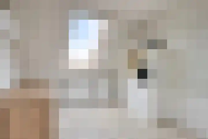 Sabelmarter 1 Veldhoven thumbnail 29