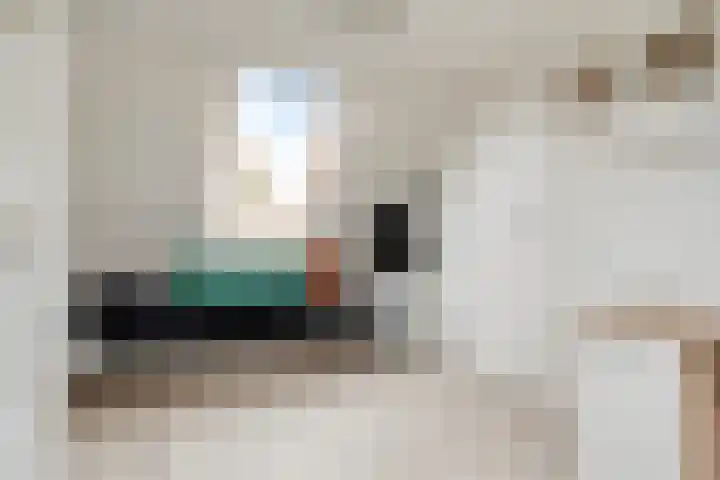 Sabelmarter 1 Veldhoven thumbnail 30