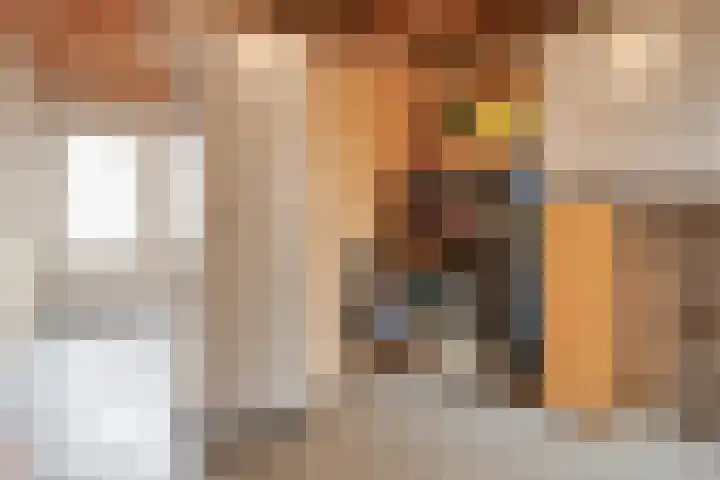 Sabelmarter 1 Veldhoven thumbnail 32