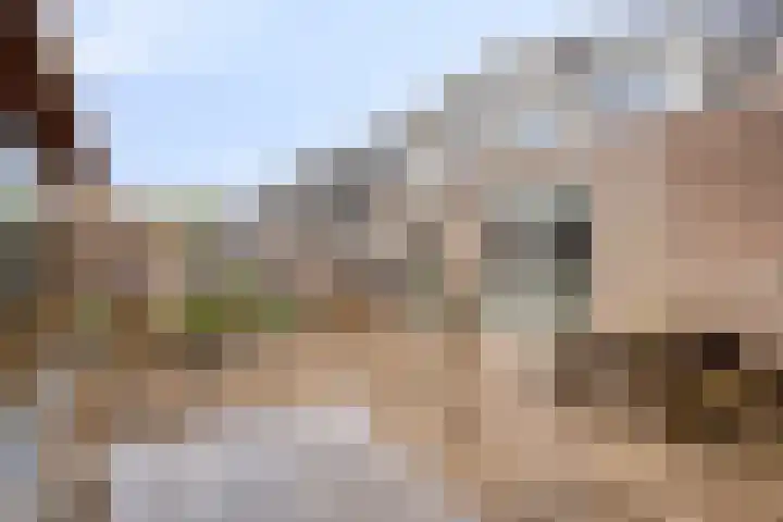 Sabelmarter 1 Veldhoven thumbnail 37