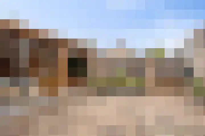 Sabelmarter 1 Veldhoven thumbnail 39