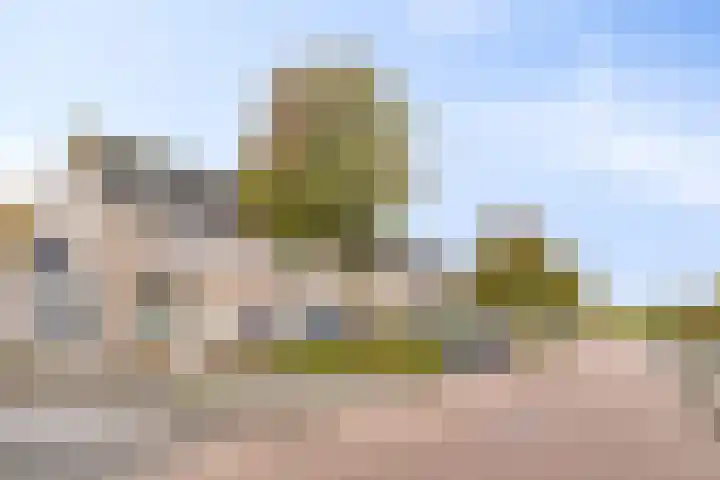 Sabelmarter 1 Veldhoven thumbnail 45
