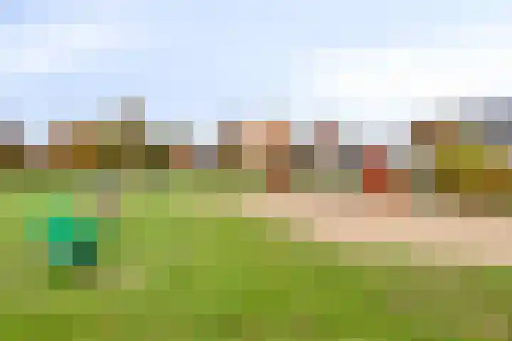Sabelmarter 1 Veldhoven thumbnail 46