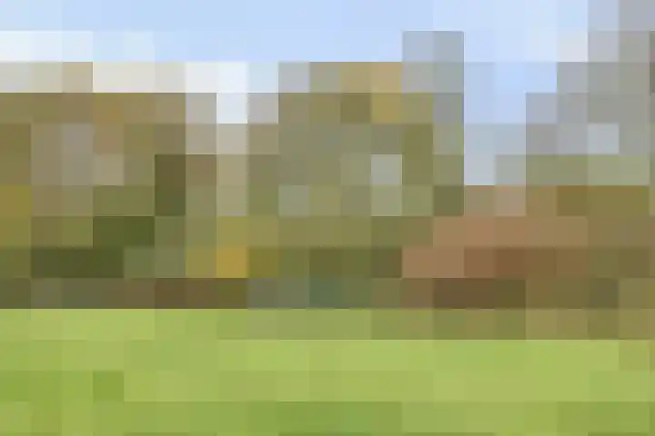 Sabelmarter 1 Veldhoven thumbnail 48