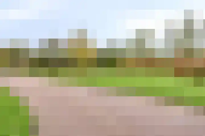 Sabelmarter 1 Veldhoven thumbnail 49
