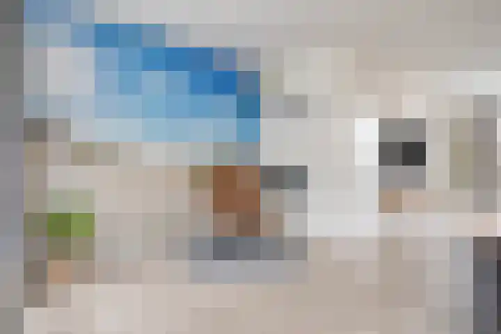 Sabelmarter 1 Veldhoven thumbnail 7