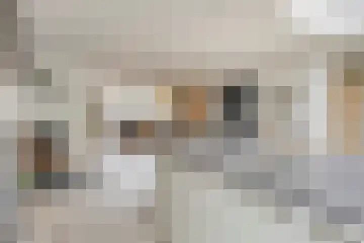 Sabelmarter 1 Veldhoven thumbnail 8