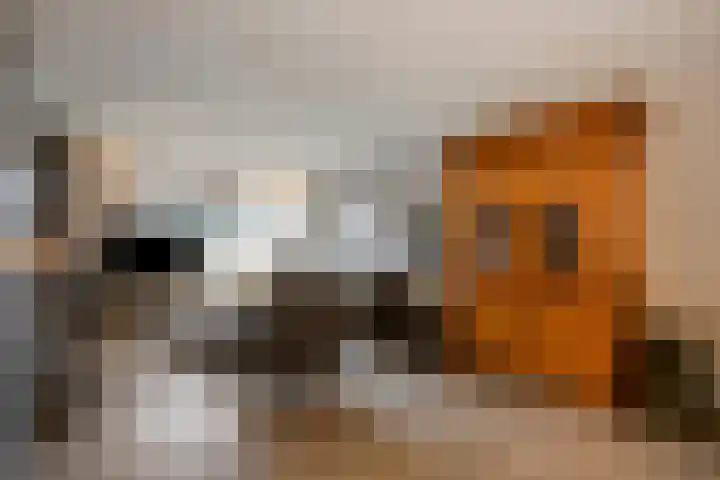 Sabelmarter 21 Veldhoven thumbnail 12