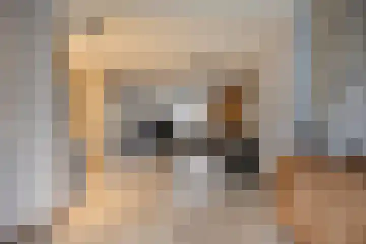 Sabelmarter 21 Veldhoven thumbnail 24