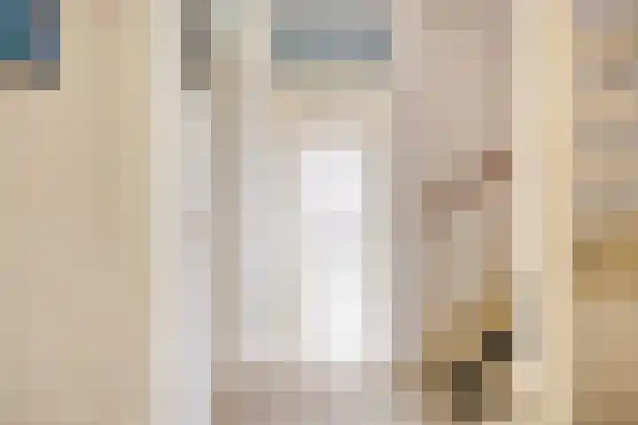 Sabelmarter 21 Veldhoven thumbnail 27