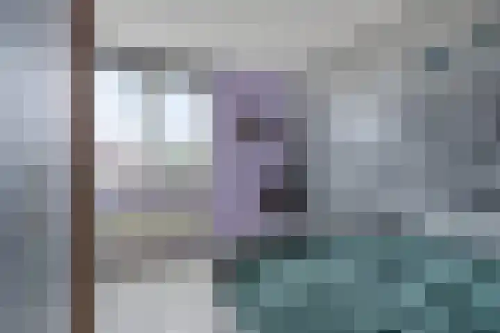 Sabelmarter 21 Veldhoven thumbnail 31