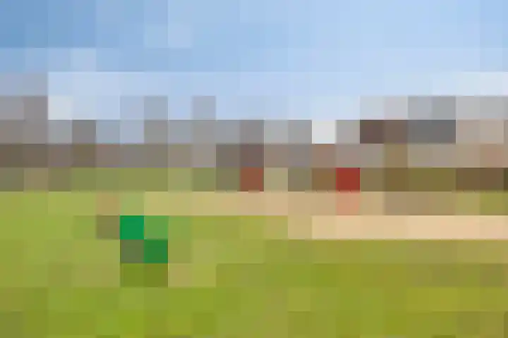 Sabelmarter 21 Veldhoven thumbnail 49
