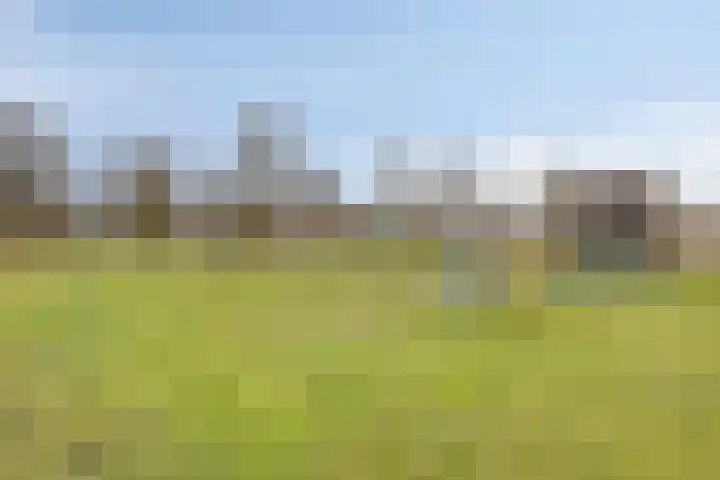 Sabelmarter 21 Veldhoven thumbnail 50