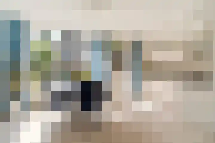 Sabelmarter 5 Veldhoven thumbnail 17