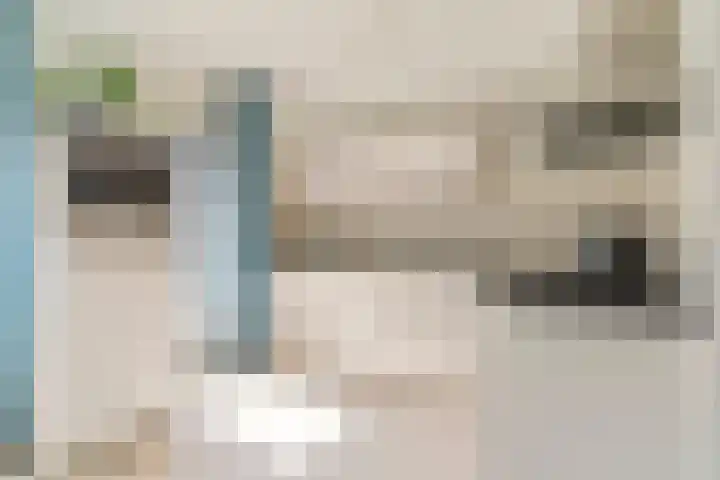 Sabelmarter 5 Veldhoven thumbnail 19
