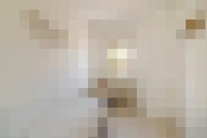 Sabelmarter 5 Veldhoven thumbnail 25