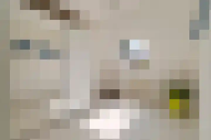 Sabelmarter 5 Veldhoven thumbnail 30