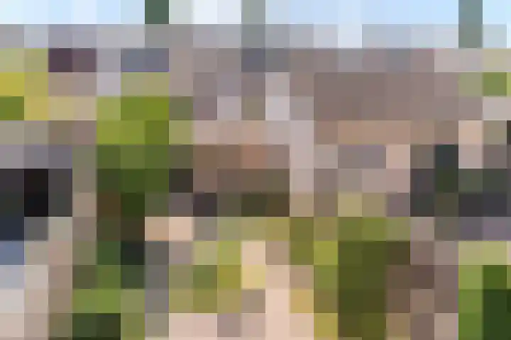 Sabelmarter 5 Veldhoven thumbnail 36