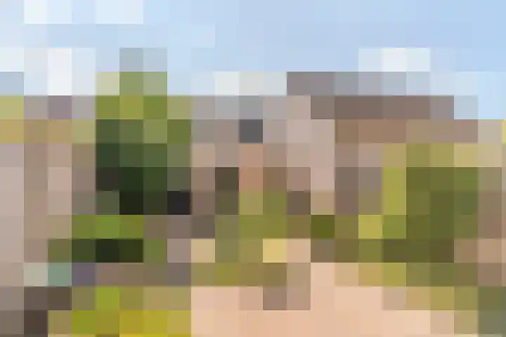 Sabelmarter 5 Veldhoven thumbnail 41