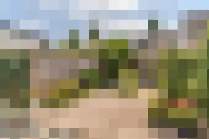 Sabelmarter 5 Veldhoven thumbnail 42