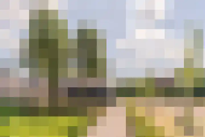 Sabelmarter 5 Veldhoven thumbnail 43