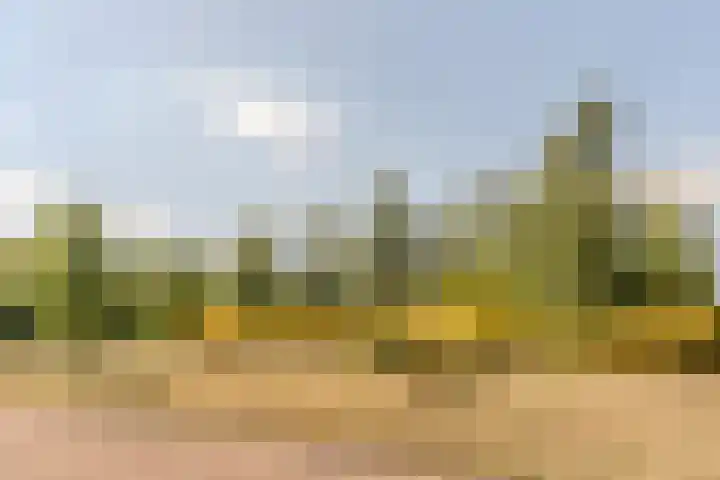 Sabelmarter 5 Veldhoven thumbnail 44