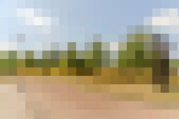 Sabelmarter 5 Veldhoven thumbnail 45