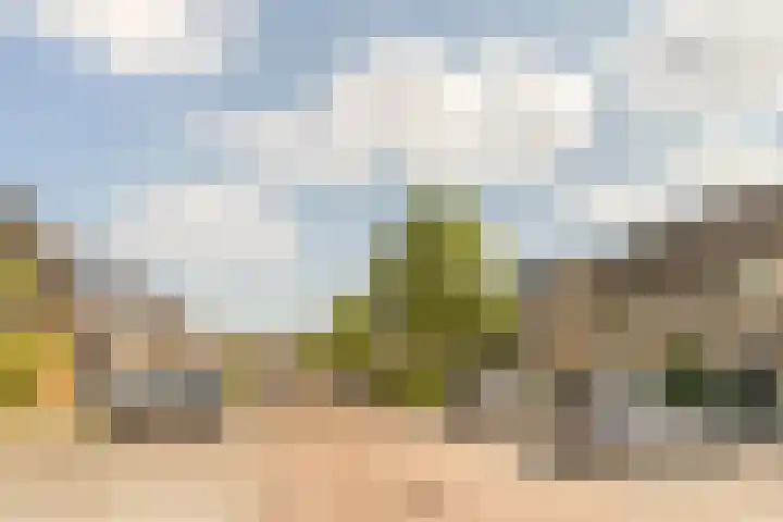 Sabelmarter 5 Veldhoven thumbnail 46