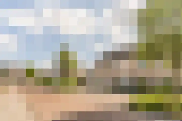 Sabelmarter 5 Veldhoven thumbnail 48