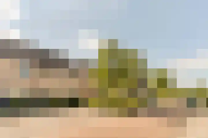 Sabelmarter 5 Veldhoven thumbnail 5