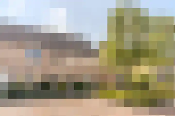 Sabelmarter 5 Veldhoven thumbnail 8