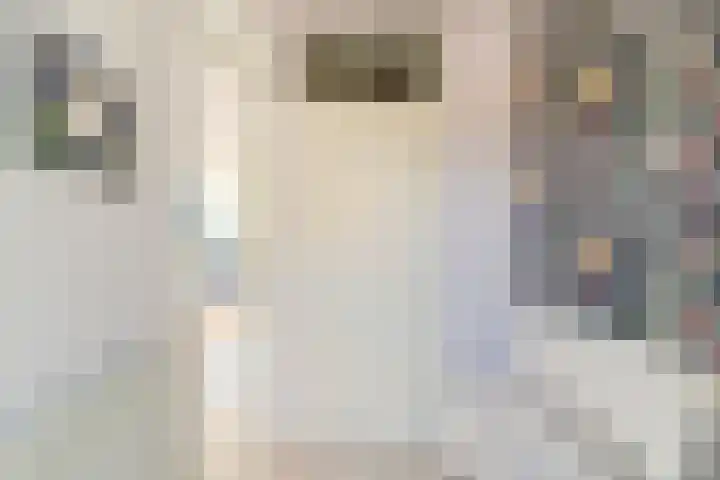 Sabelmarter 5 Veldhoven thumbnail 9
