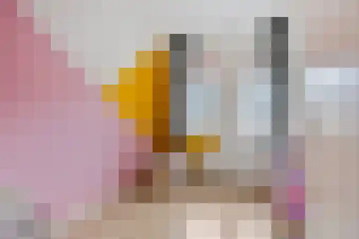 Sabelpootlaan 18 Barneveld thumbnail 19