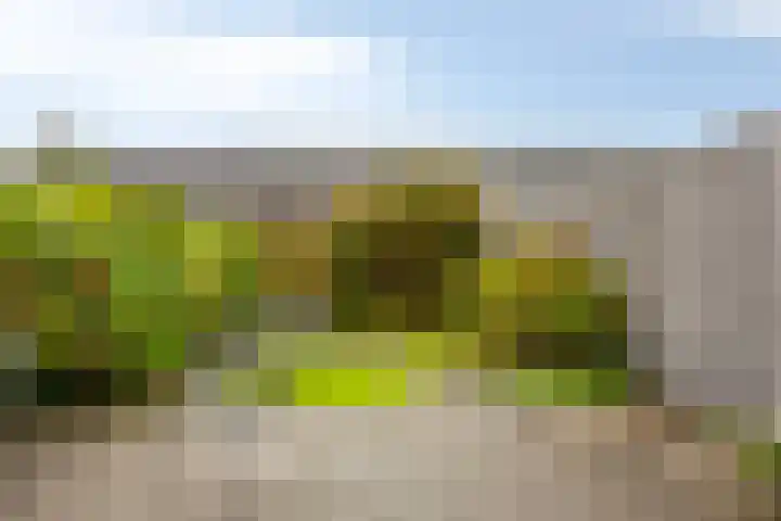 Sabelpootlaan 18 Barneveld thumbnail 28