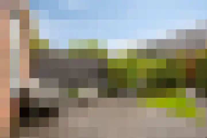 Sabelpootlaan 18 Barneveld thumbnail 29