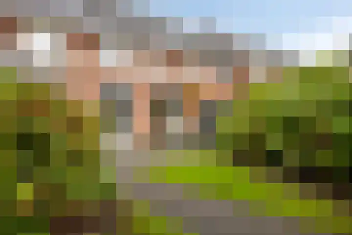 Sabelpootlaan 18 Barneveld thumbnail 30
