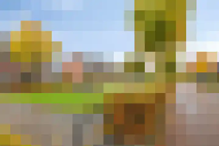 Sabelpootlaan 18 Barneveld thumbnail 32