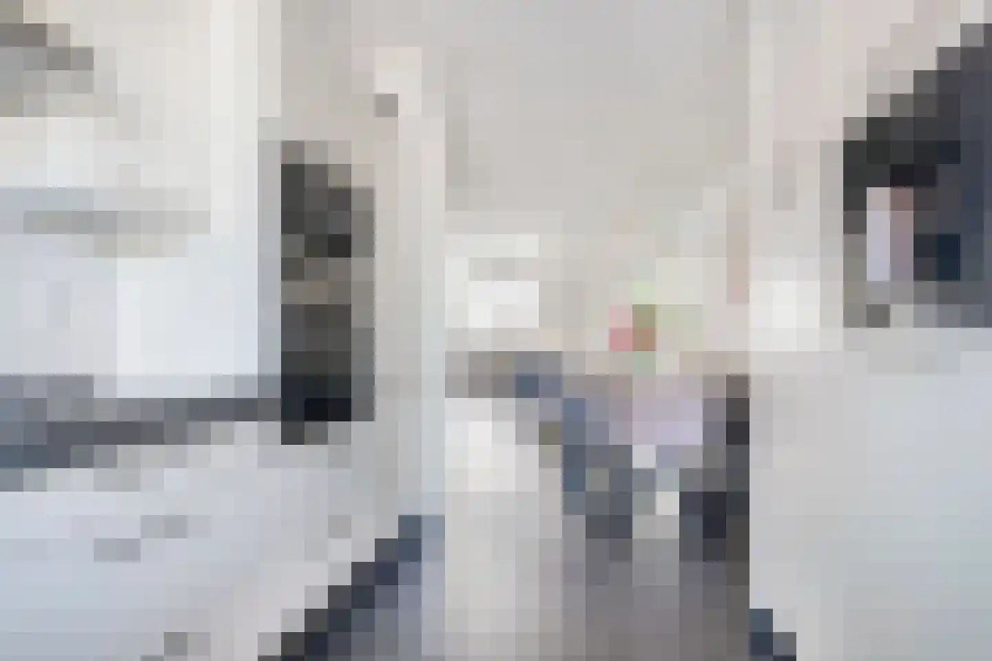 Sabelpootlaan 22 Barneveld thumbnail 15