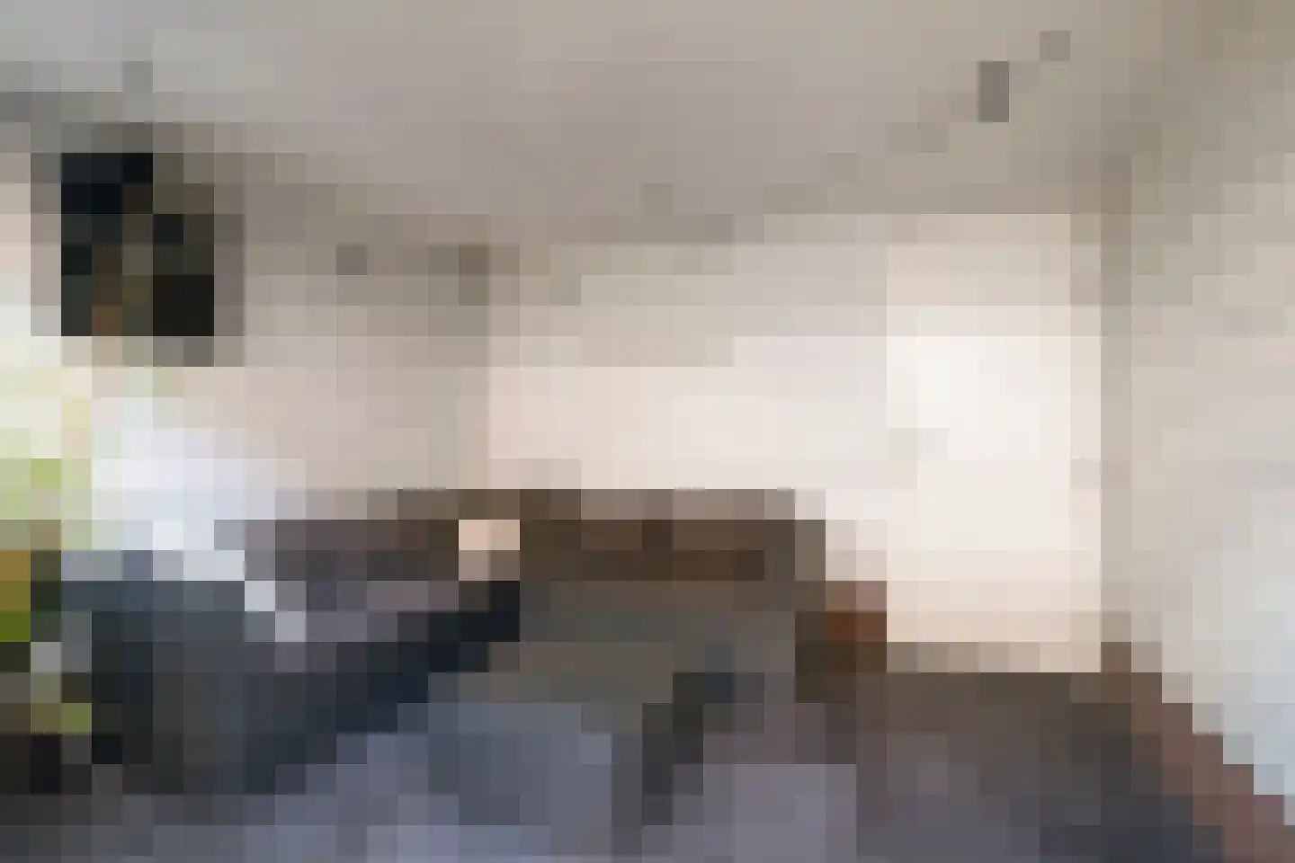 Sabelpootlaan 22 Barneveld thumbnail 34