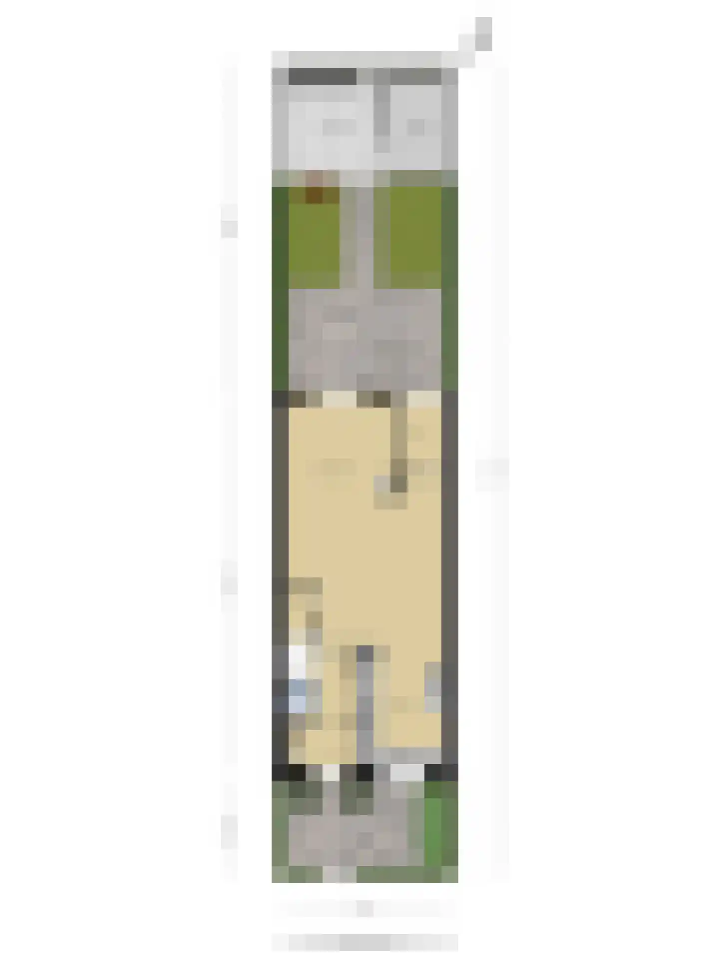 Sabelpootlaan 22 Barneveld thumbnail 44