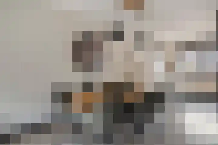 Sabelpootlaan 31 Barneveld thumbnail 12