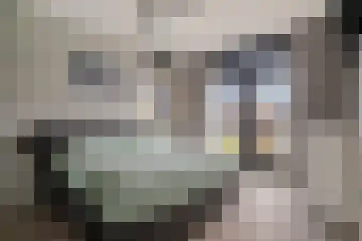 Sabelpootlaan 31 Barneveld thumbnail 18
