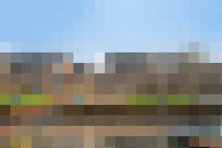 Sabelpootlaan 31 Barneveld thumbnail 20