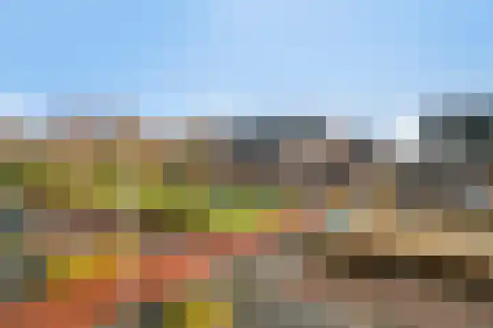 Sabelpootlaan 31 Barneveld thumbnail 21