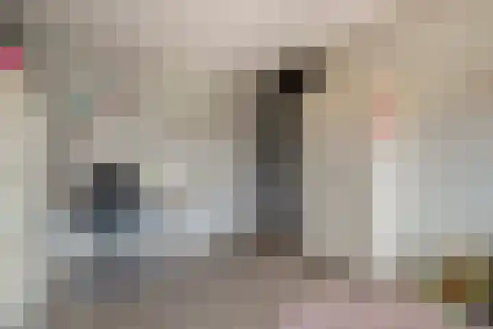 Sabelpootlaan 31 Barneveld thumbnail 23